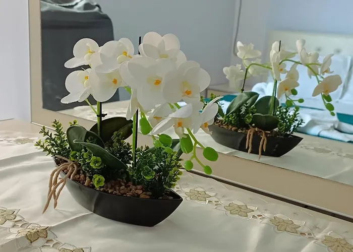 Mias Golden Sunset Apartment's